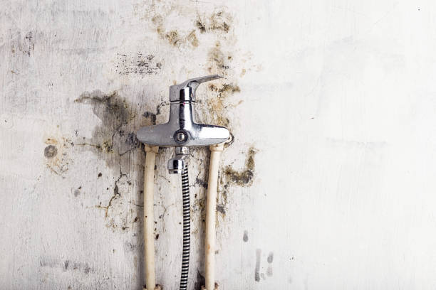Best Residential Mold Remediation in Mooresville, NC