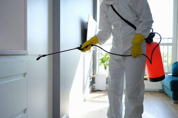 Best Industrial Mold Remediation in Mooresville, NC