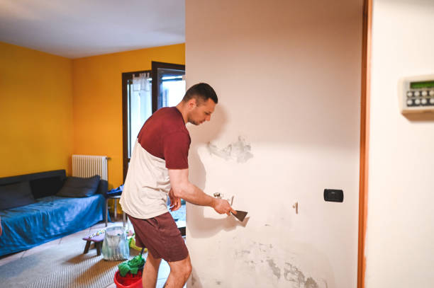 Best Localized Mold Remediation (e.g., coastal areas, humid climates) in Mooresville, NC